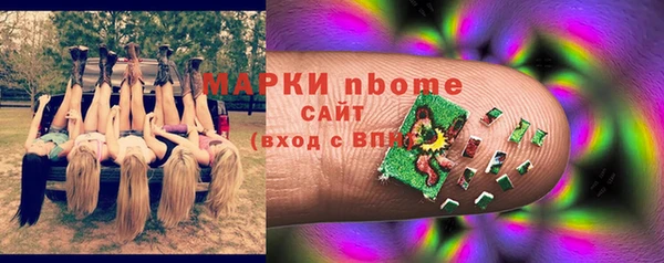 apvp Алзамай