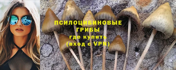 ГАЛЛЮЦИНОГЕННЫЕ ГРИБЫ Алексеевка