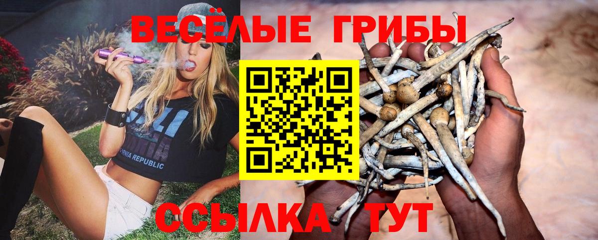 Петровск  Псилоцибиновые грибы ЛСД  Вход с VPN 